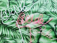 Thumbnail for XL Bride + Babe Bachelorette Party Straws